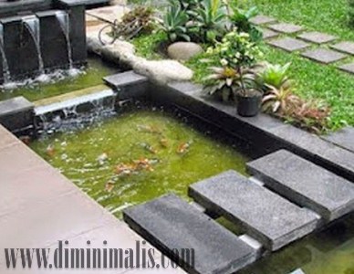 10 contoh kolam ikan minimalis yang cocok dibangun di rumah